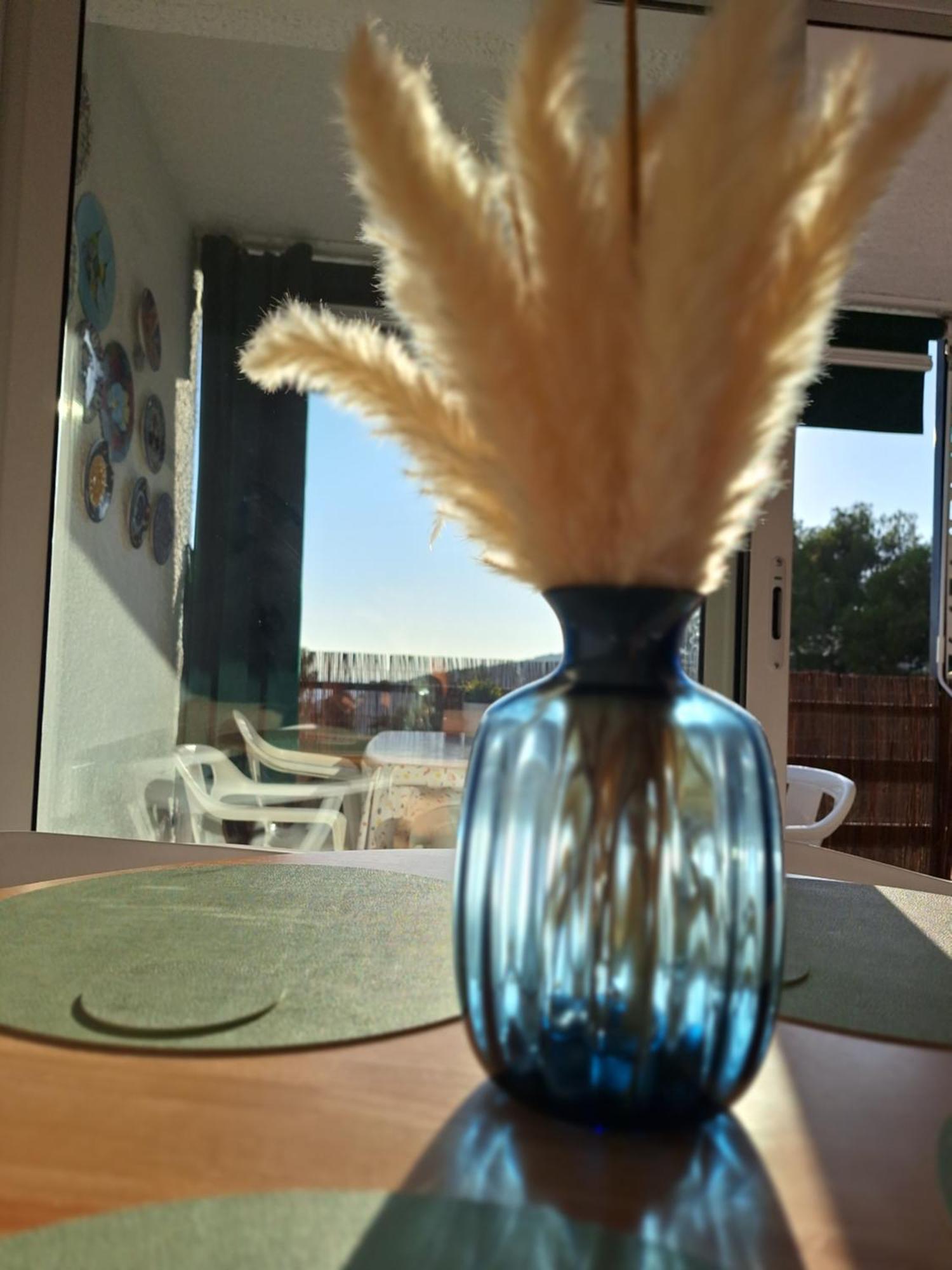 דירות ז'ירונה La Calma De Tossa מראה חיצוני תמונה